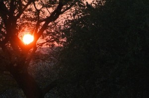 Namibie