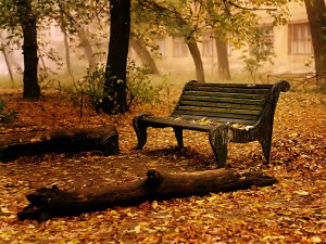 tour du monde famille séchet - automne